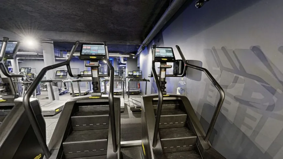 Illustration Fitness Park : Machine escalier Technogym