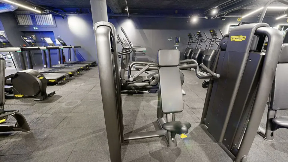 Illustration Fitness Park : Shoulder Press Technogym