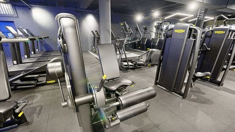 Illustration Fitness Park : Leg Curl Technogym