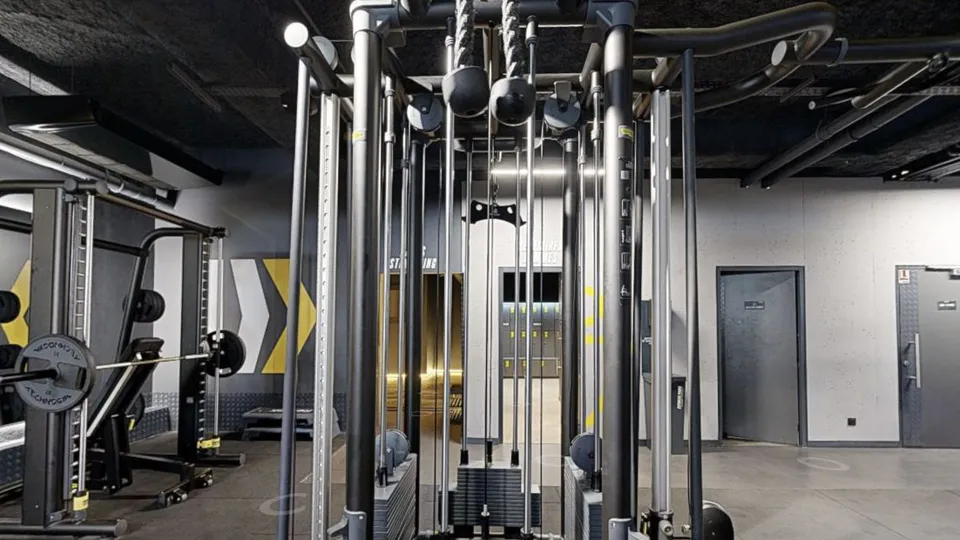 Illustration Fitness Park : Station Poulie (double)