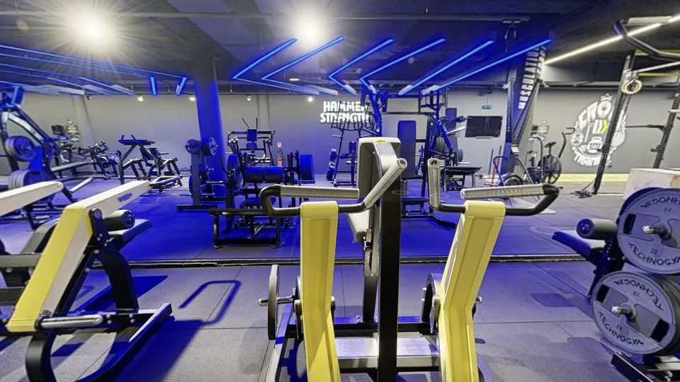 Illustration Fitness Park : Multi Grip Row Iso Technogym