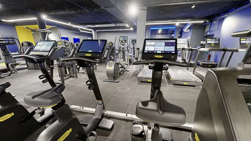 Illustration Fitness Park : Vélo droit Technogym