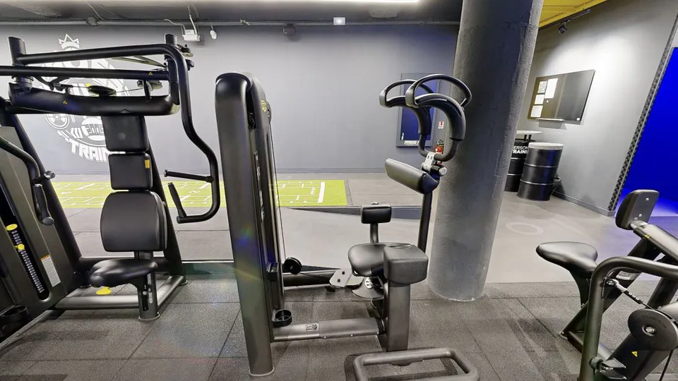 Illustration Fitness Park : Rotary Torso Technogym