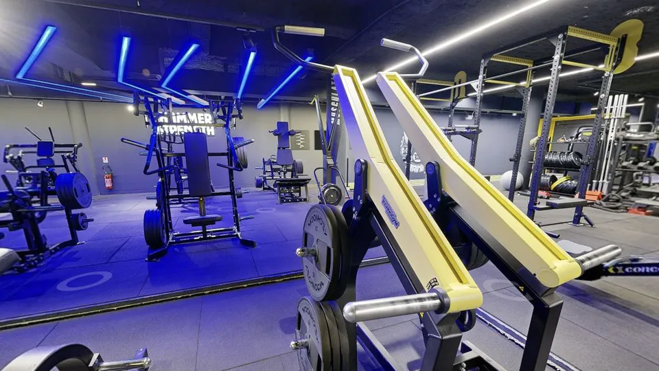Illustration Fitness Park : Pulldown Technogym